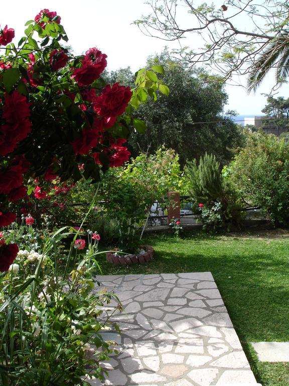 Bozikis &