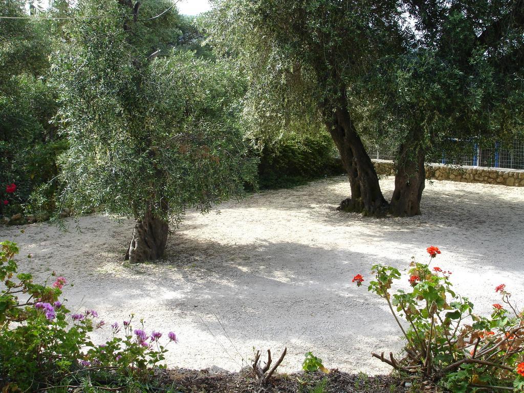 Bozikis & Paleokastritsa