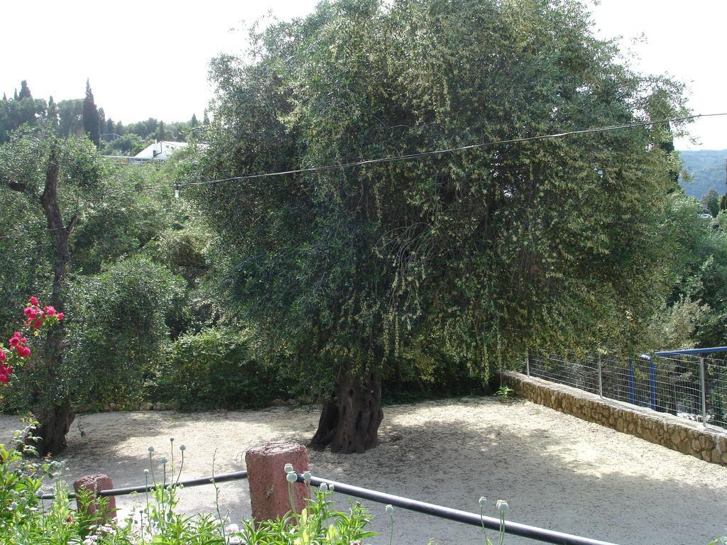 Bozikis & Apartment