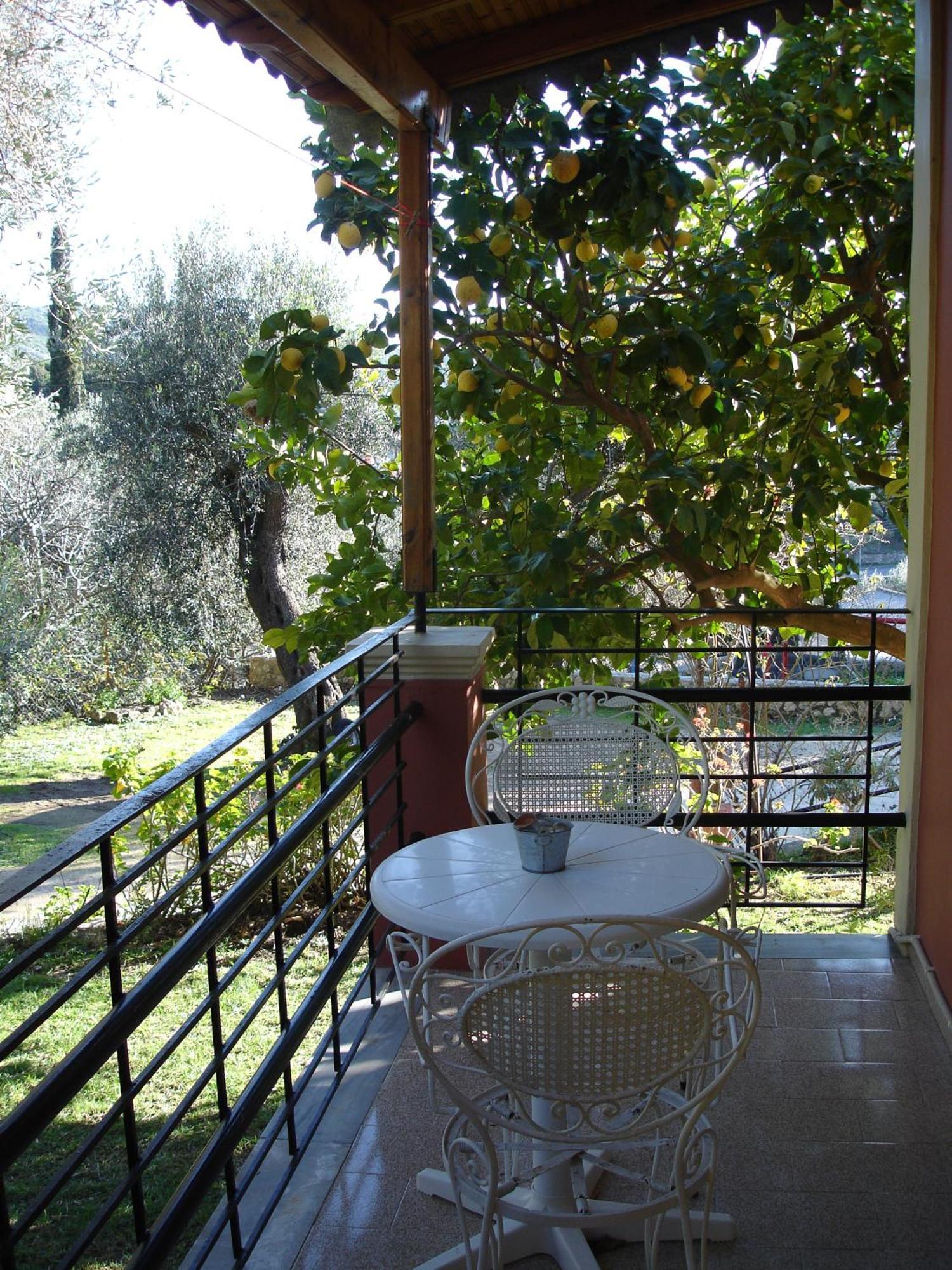 Bozikis & Studios Paleokastritsa