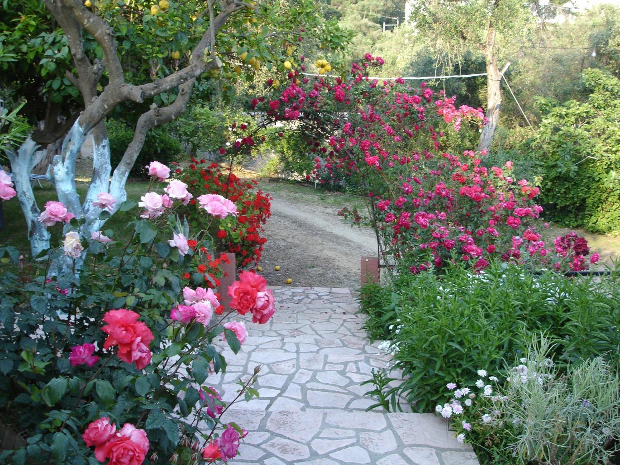 Apartment Bozikis &
